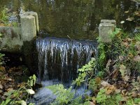 NL, Noord-Brabant, Valkenswaard, Pelterheggen 1, Saxifraga-Jan van der Straaten